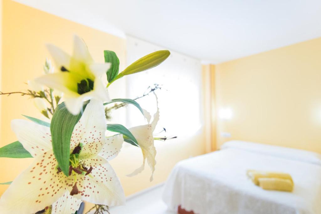 Hostal Maribel Педрусо Экстерьер фото
